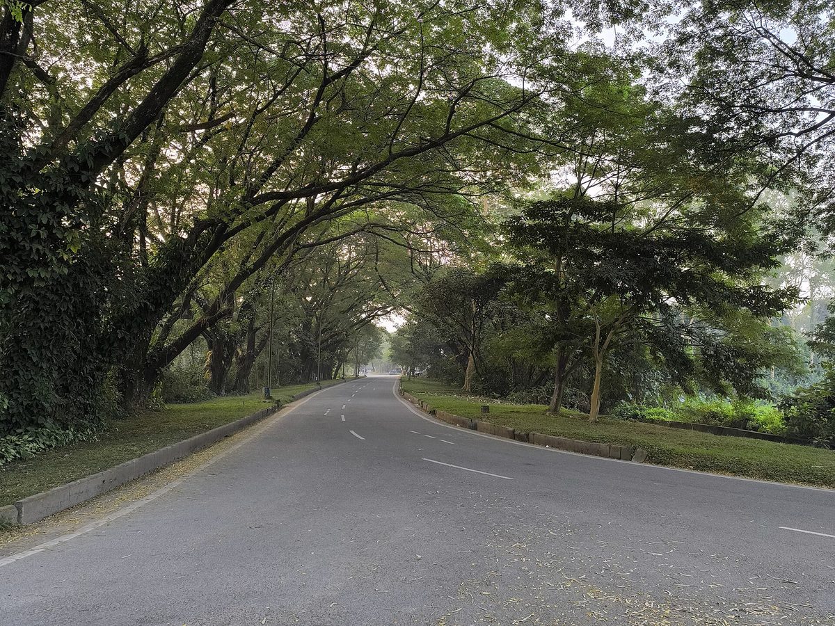 Tree-lined road on the IIT Guwahati campus